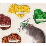 Generic Rat Repellent (Multicolor) - Image 5
