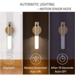 Generic Intelligent Induction Light (Beige) - Image 2
