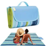 Generic Picnic Mat (Blue)